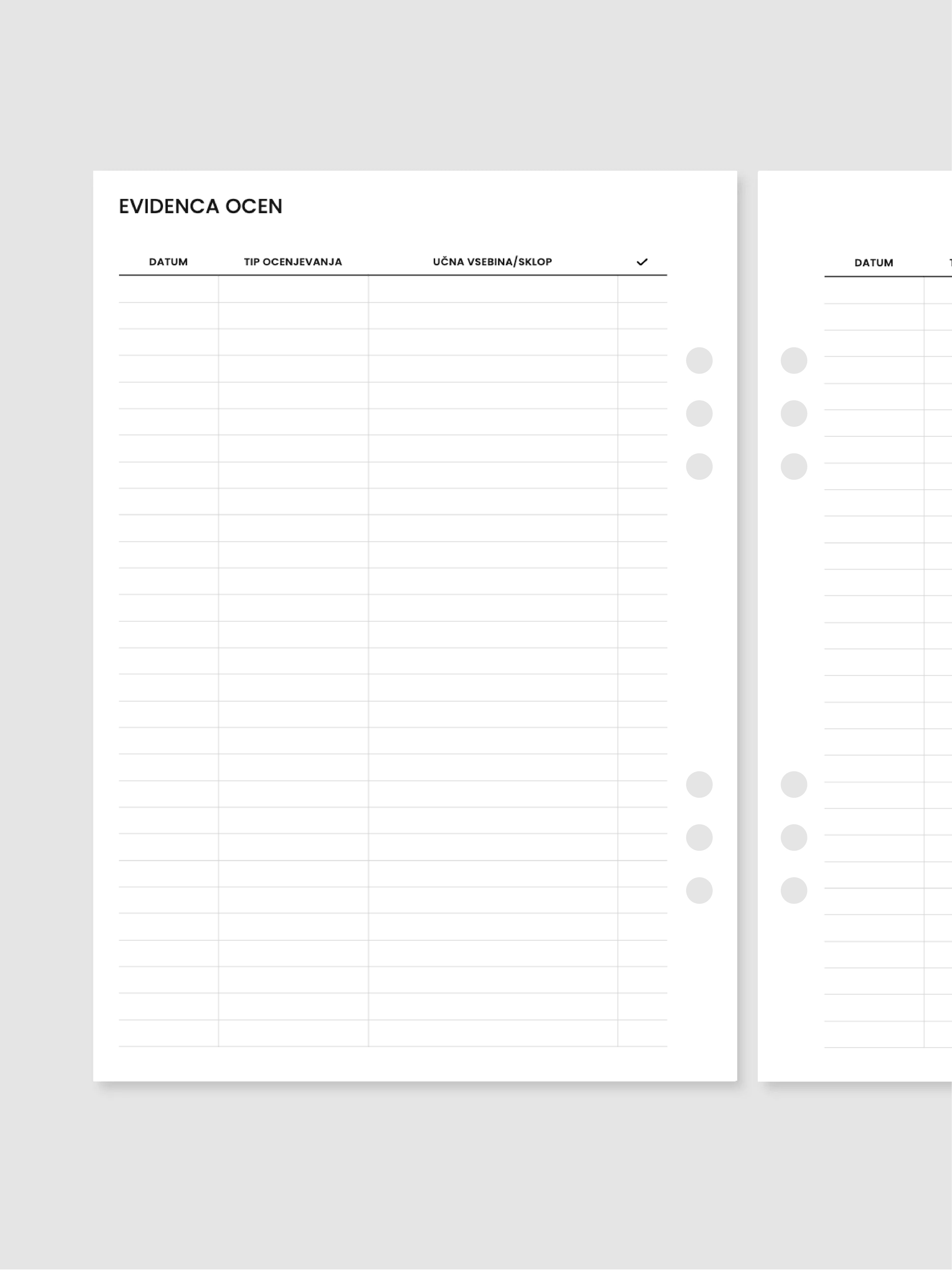 Evidenca ocen | A5 inserti