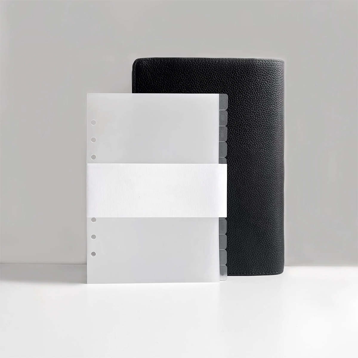 Transparentni razdelilnik z zavihki | 12-listni