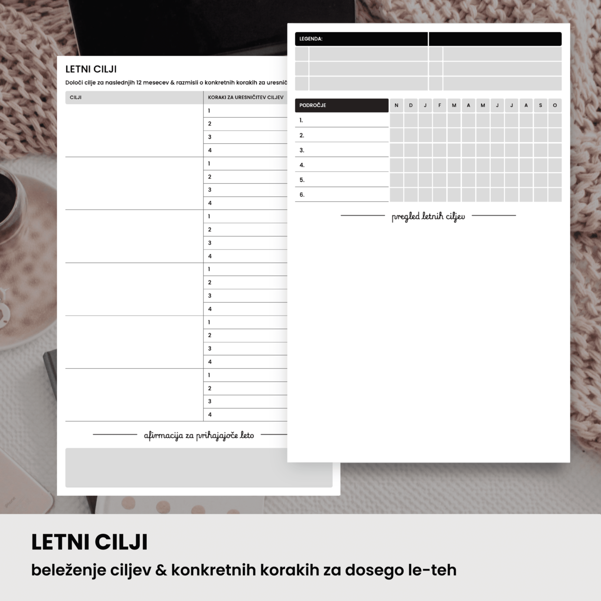 Inserti | Letni cilji