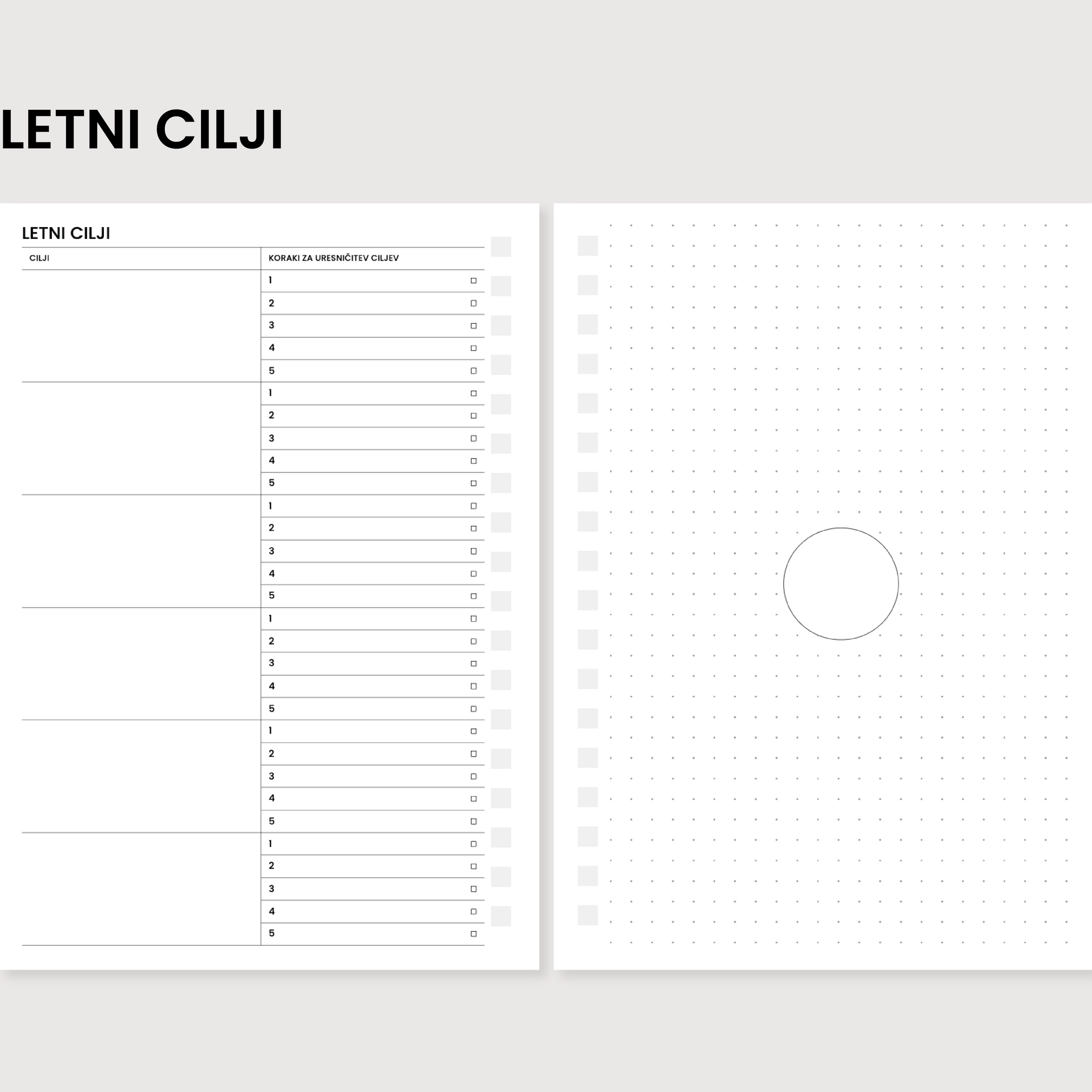 Inserti | Letni cilji