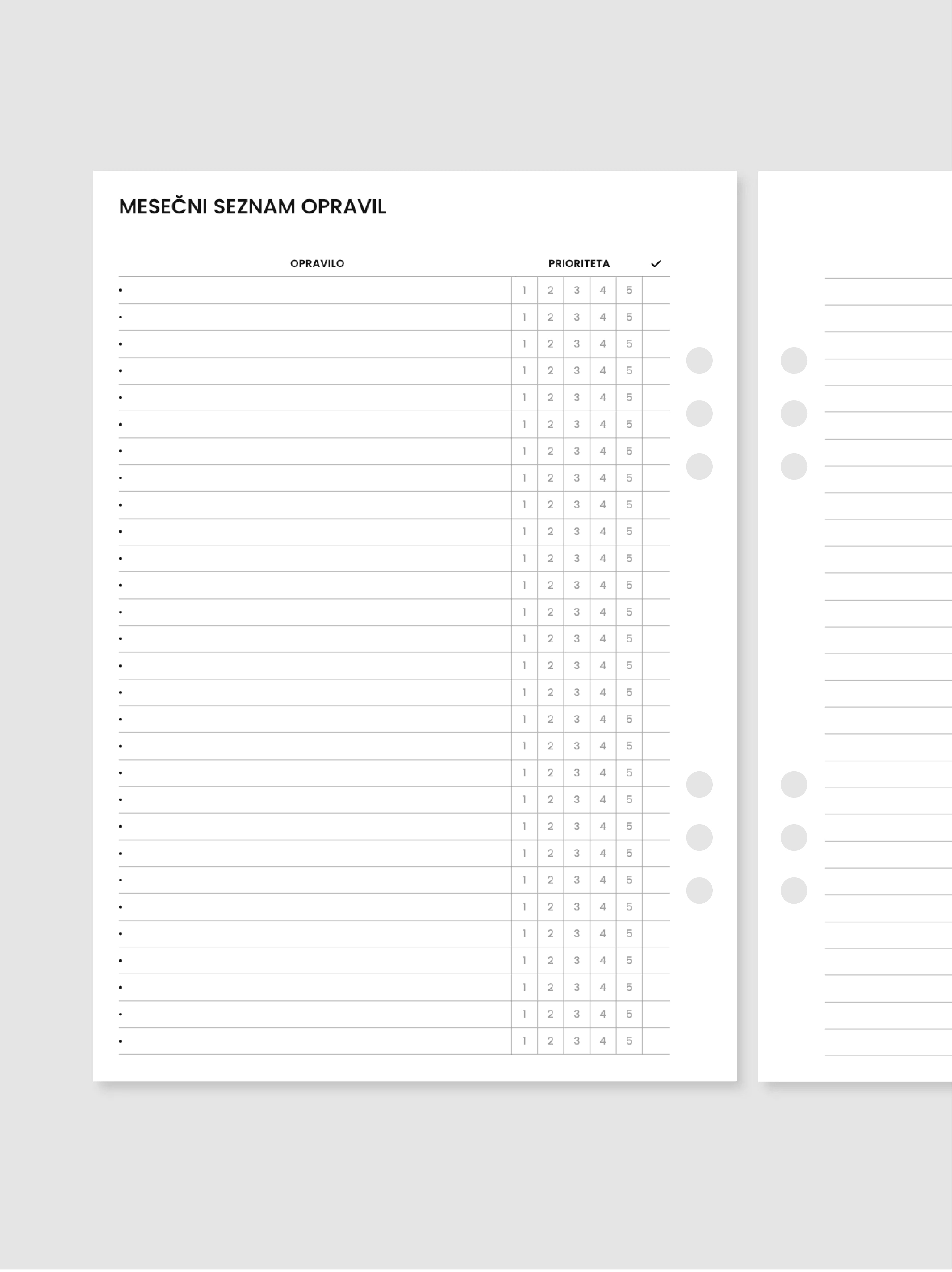 Mesečni seznam opravil | A5 inserti