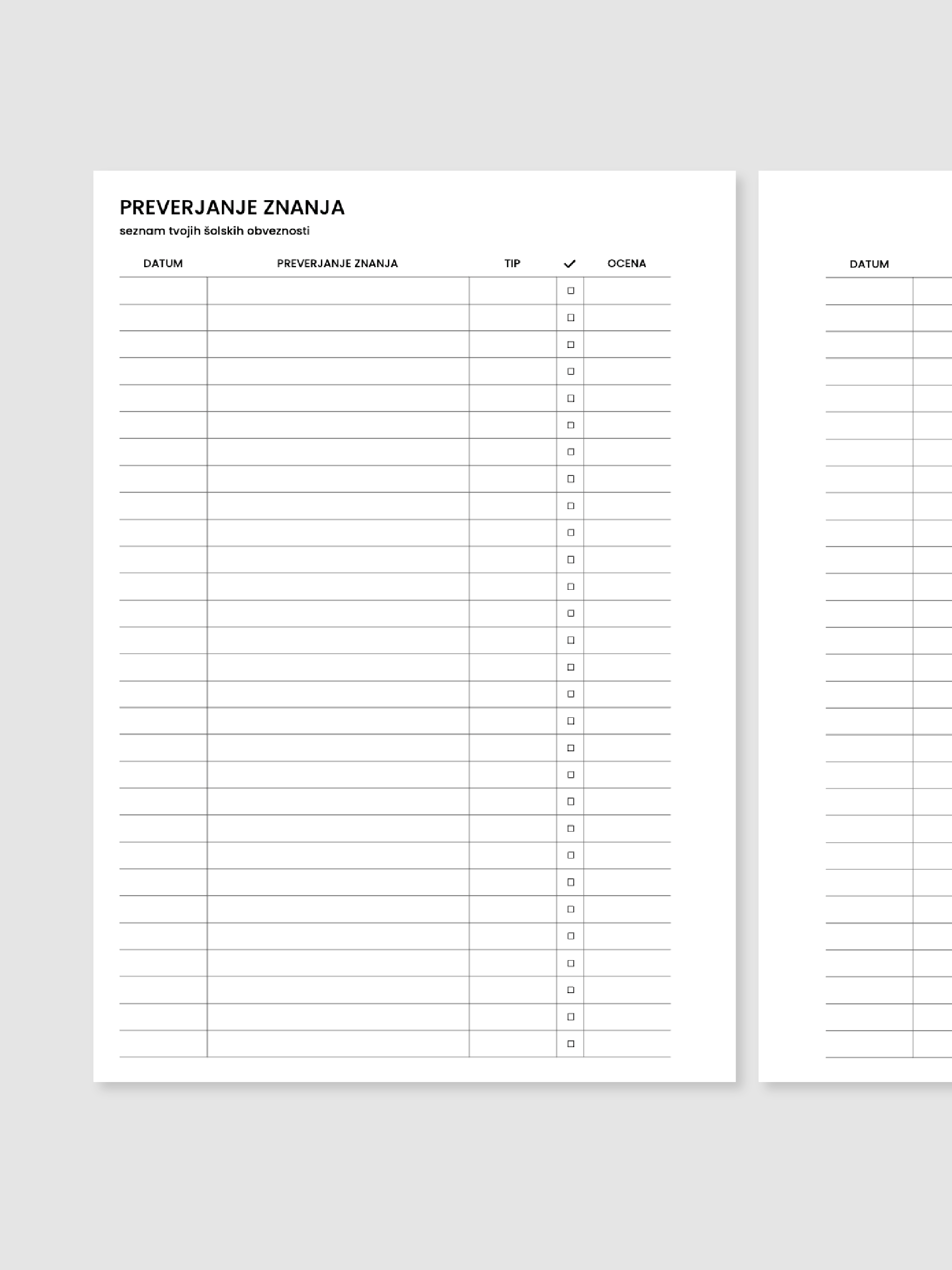 Preverjanje znanja | A5 inserti