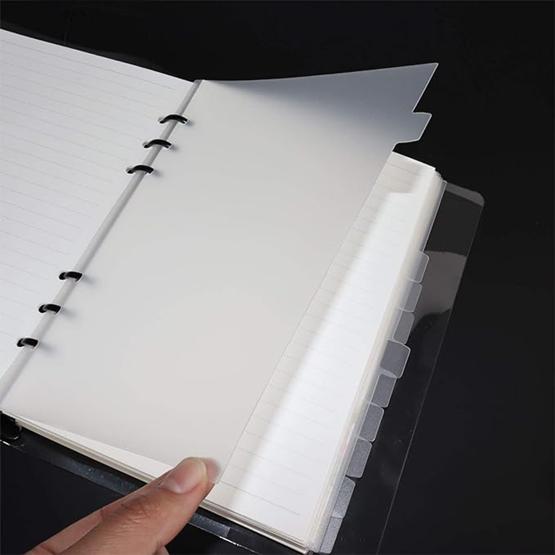 Transparent divider with index tabs | 12 tabs