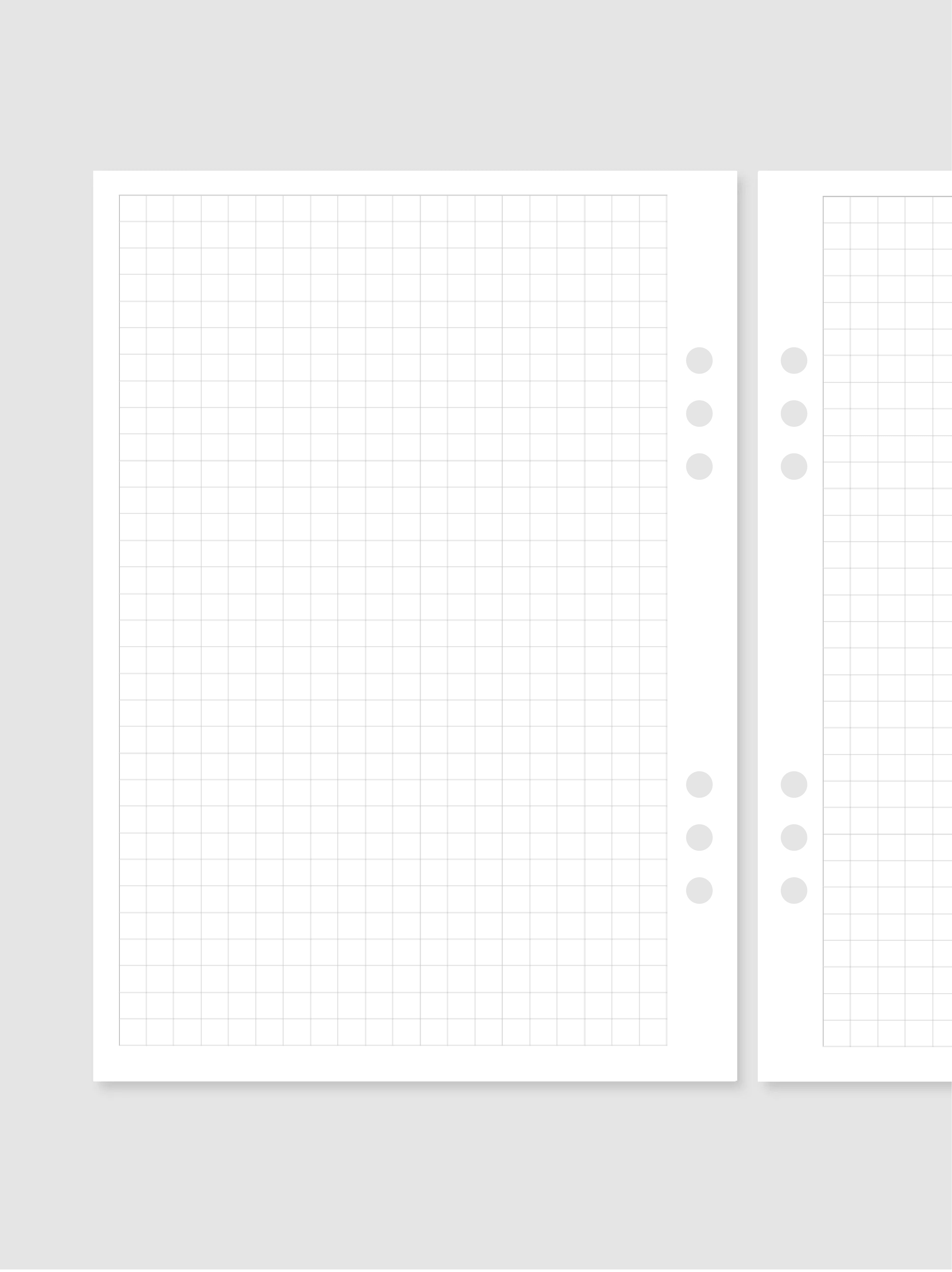 Zapiski - grid | A5 inserti